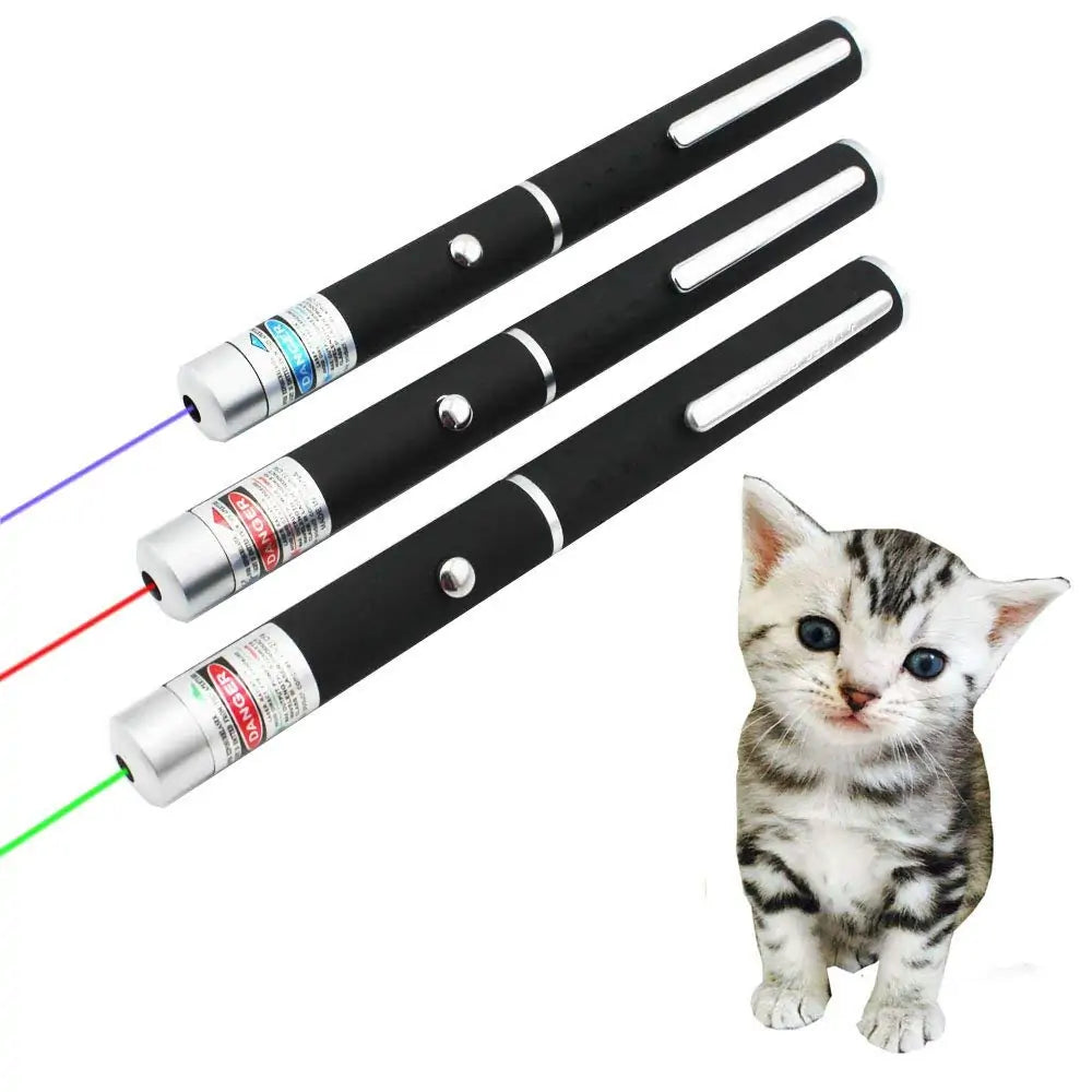 5MW Laser Sight Pointer